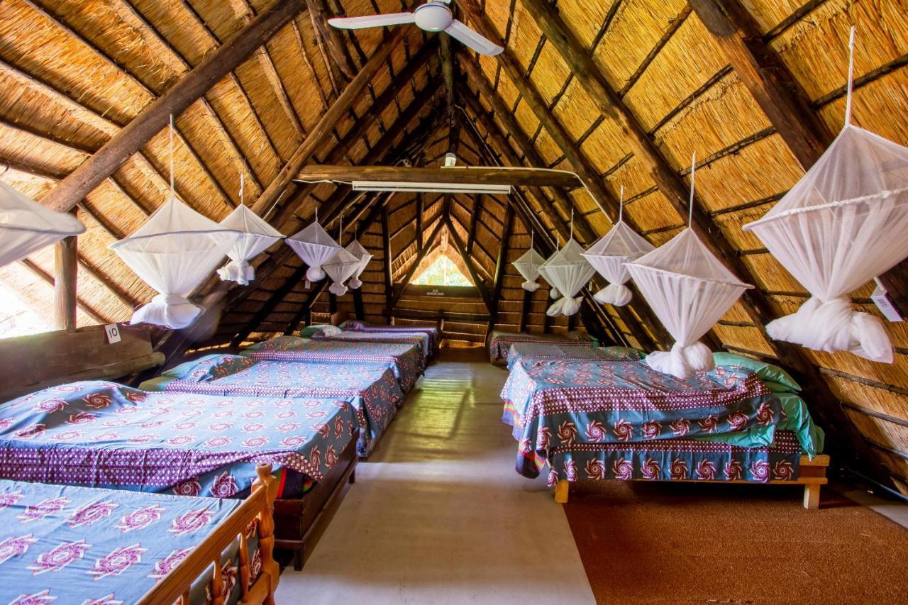 Hostel Backpackers Victoria Falls