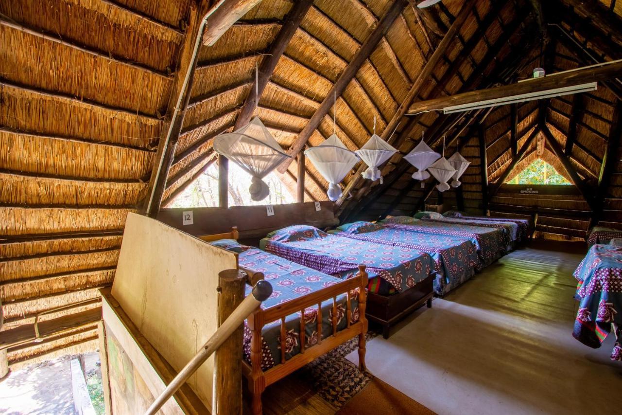 Backpackers Hostel *