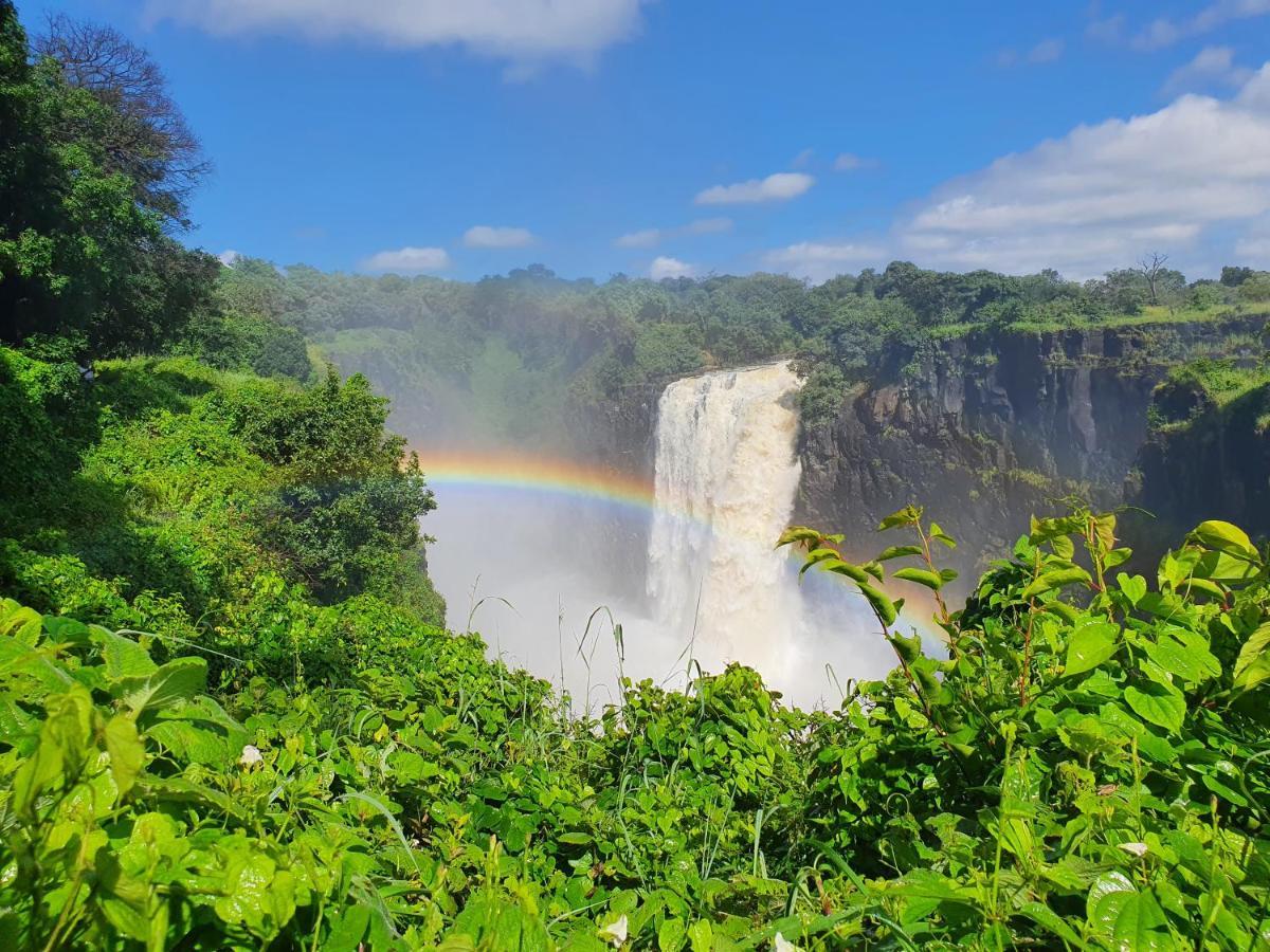Backpackers * Victoria Falls