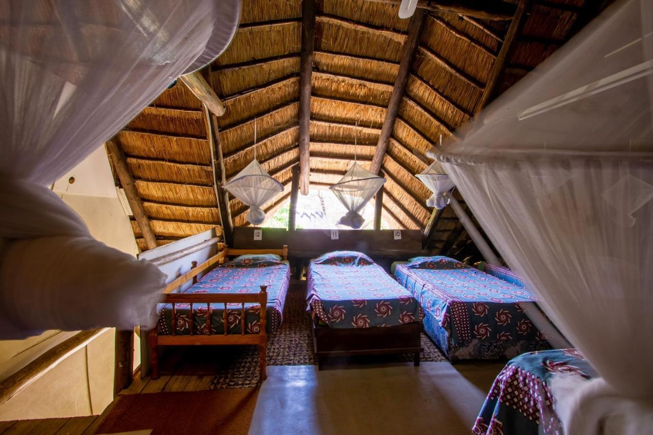 Backpackers Hostel *