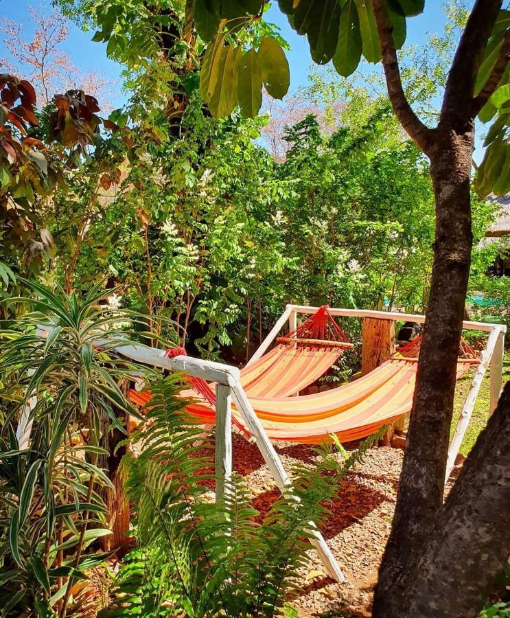 Hostel Backpackers
