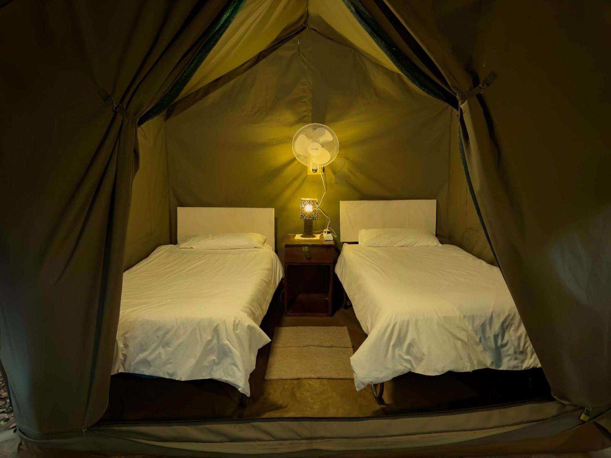 Backpackers Victoria Falls