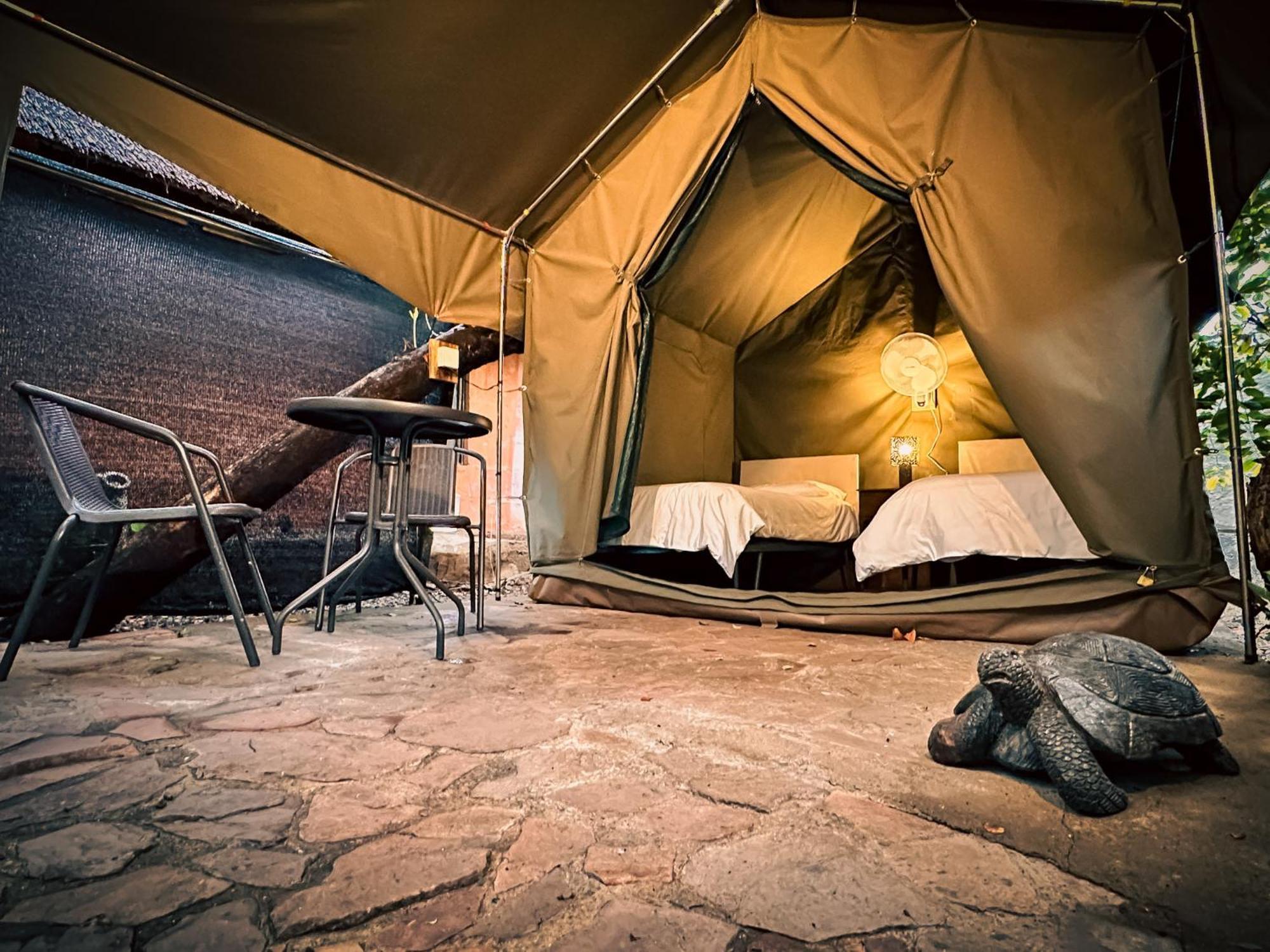 Backpackers Hostel *