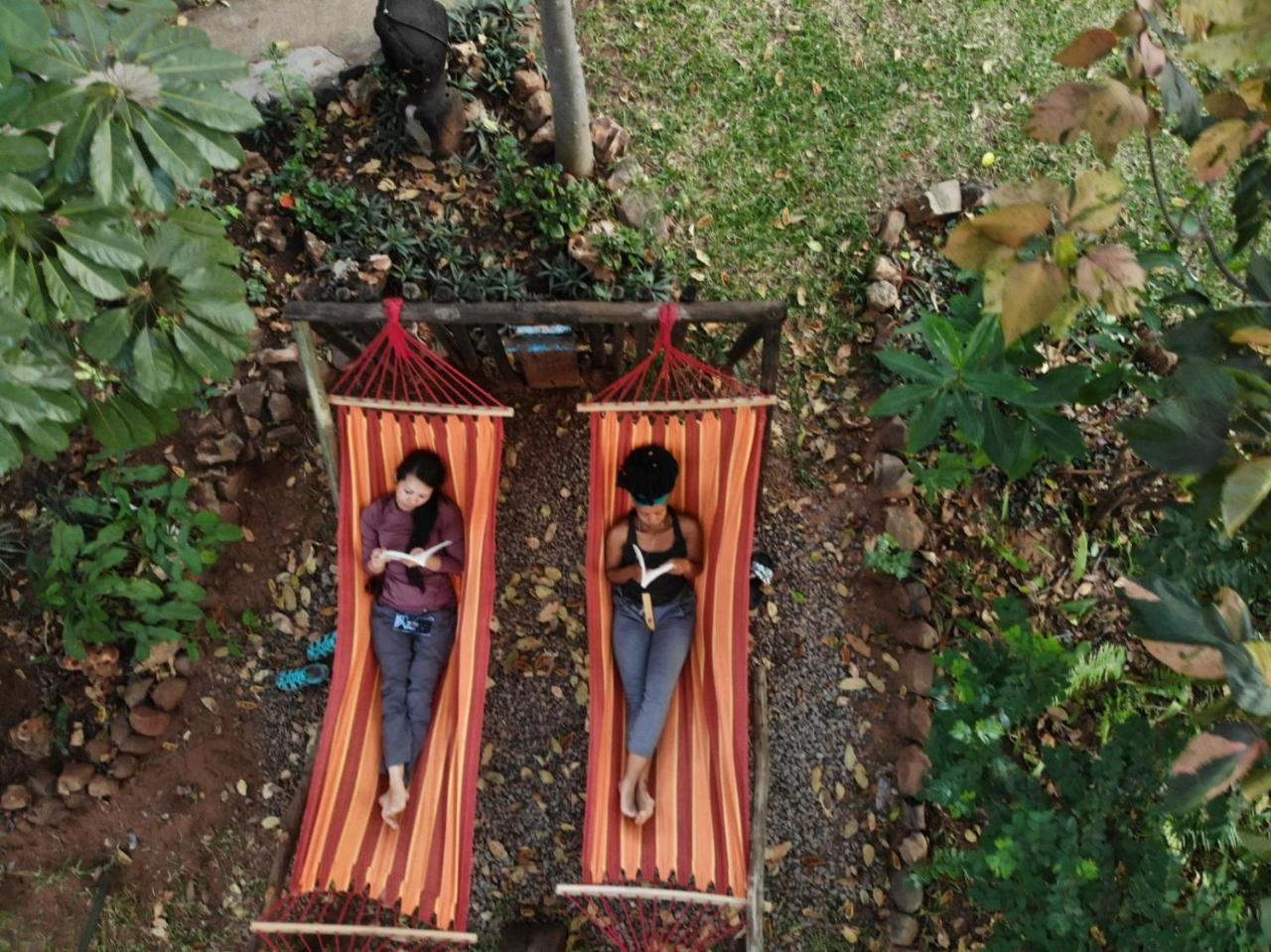 Hostel Backpackers *
